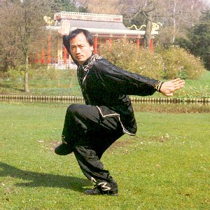 Ørne Kung Fu