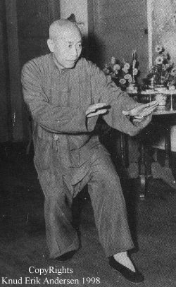 Tung Ying Chieh i Familie Stil (Hurtig Tai Chi Chuan)