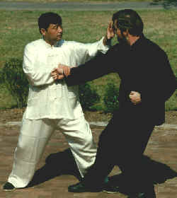 Selvforsvar - Xingyiquan