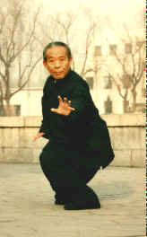 Wild Cat Climb a Tree - Xingyiquan